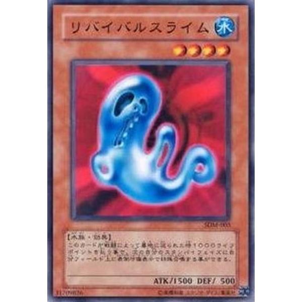 lead-netstore_sdm003