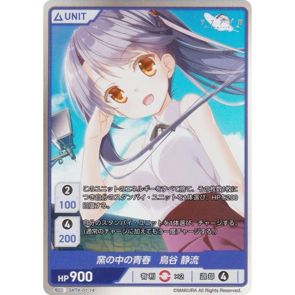 lead-netstore_sktk01302408tt014