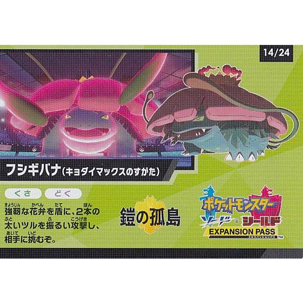 ポケモンカードゲーム 14/24 フシギバナ(キョダイマックスのすが ポケモンカードゲーム 14/24 フシギバナ(キョダイマックスのすが