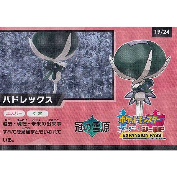 ポケモンカードゲーム 19/24 バドレックス(キョダイマックスのすがた