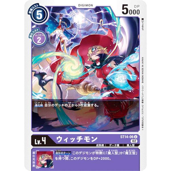 lead-netstore_st14dig102212tt006