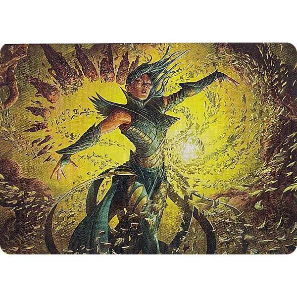 マジックザギャザリング STX 16/81 龍護りの精鋭 (日本語版 アート