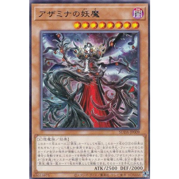 lead-netstore_suda262410tt009