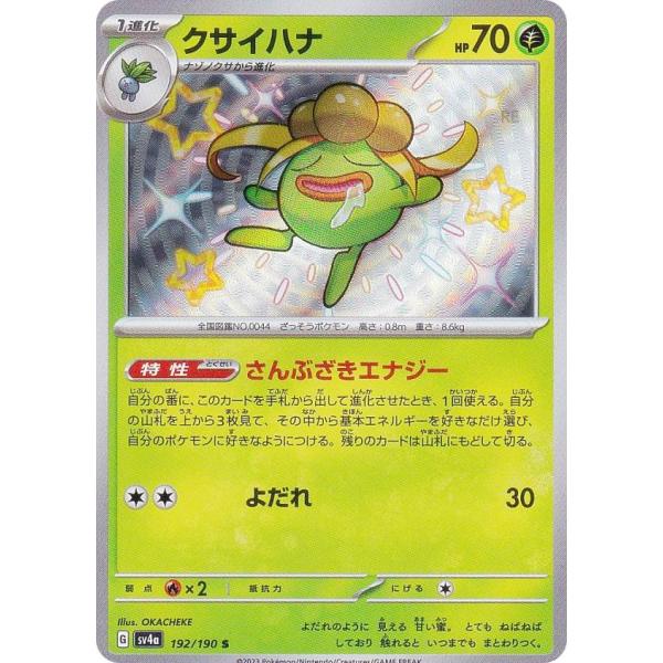 lead-netstore_sv4a012312tt192