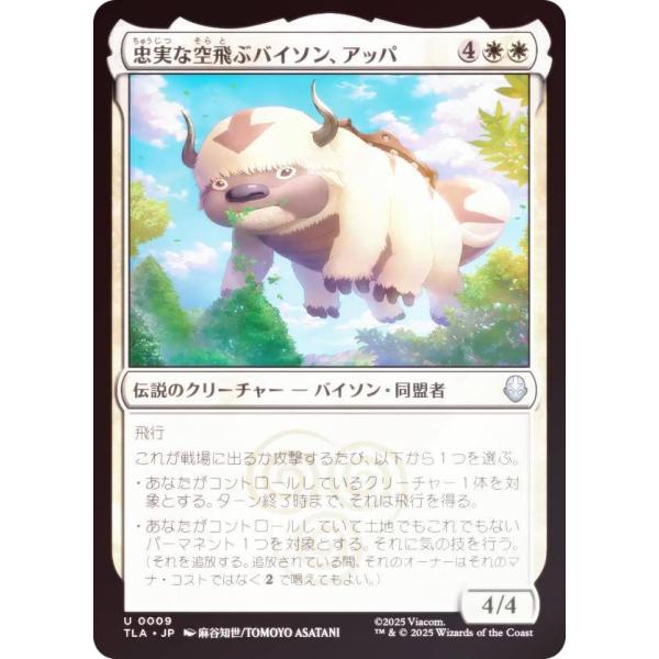 lead-netstore_tlajp212511ttf009