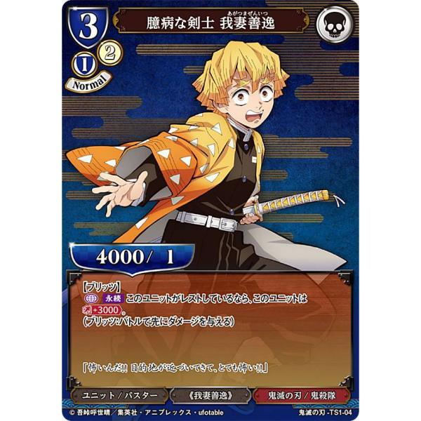 lead-netstore_ts1ky122205tt004