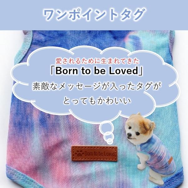 leafage_leafage-143_6_d_20250418204406