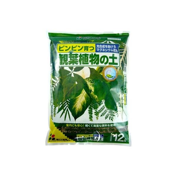 他サイト： 花ごころ 観葉植物の土 12L 葉色がよくなる 室内 インドア 【4個まで購入可】の商品画像