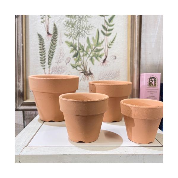 ■タグ小型 小さめ 植物 全般 なんでも コレクター 収集 マニア 育苗 シンプル 観葉植物 花 園芸 ガーデニング お手頃 サイズ ビカクシダ コウモリラン サボテン 多肉植物