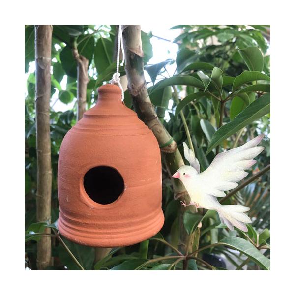 ■タグ庭 自然 野鳥 鳥小屋 鳥