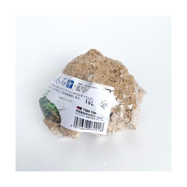 セール価格 650円→550円テラリウムやパルダリウムの土台や、苔玉の用土のかわりにも使用できる、多孔質構造からなる天然石です。苔や植物などが活着させやすいうえ、天然の石なので、崩れにくく、繰り返し使用することができます。また、ノミやハンマ...