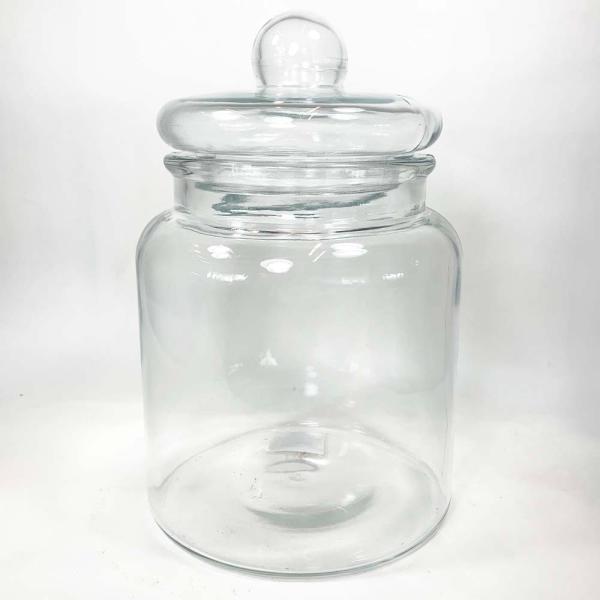 テラリウムとは みんな探してる人気モノ テラリウムとは