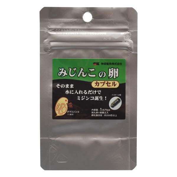 水に入れるだけ みじんこ培養 タマミジンコ 約0匹 メダカ フード エサ カミハタ みじんこの卵 1カプセル入り Leafs ヤフー店 通販 Yahoo ショッピング