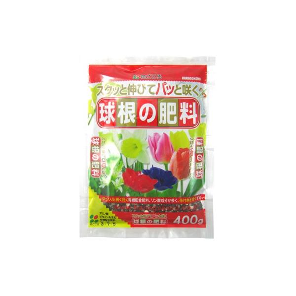 チューリップ 球根の価格と最安値 おすすめ通販を激安で