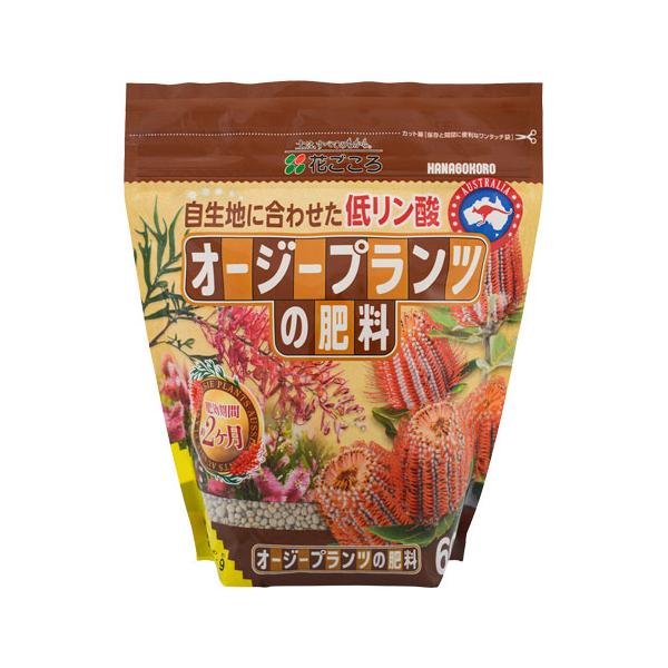 ■タグエキゾチック ワイルド オシャレ ユニーク スタイリッシュ 花 カリステモン 弱酸性 低リン酸 自生地 追肥 花ごころ グレビレア バンクシア カリステモン アカシア フランネルフラワー カンガルーポー ユーカリ ニューサイラン カル...