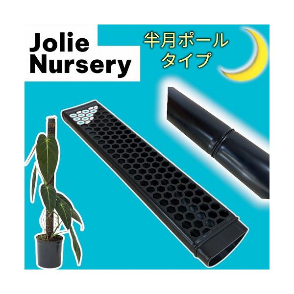 ■タグ登り棒 ポトスタワー ヘゴ棒 水苔支柱 フィロデンドロン モンステラ シンゴニウム スキンダプサス マドカズラ アロカシア