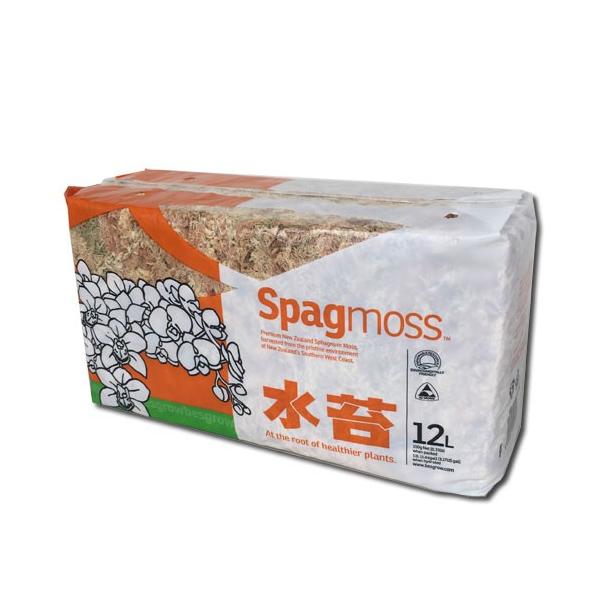 水苔 約150g 送料無料 ニュージーランド産