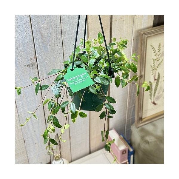 ※こちらの商品は多少の傷み等を含むアウトレット商品です。ご了承の上、購入をお願いします。セール価格 1880円→1580円 2025年Winterセール