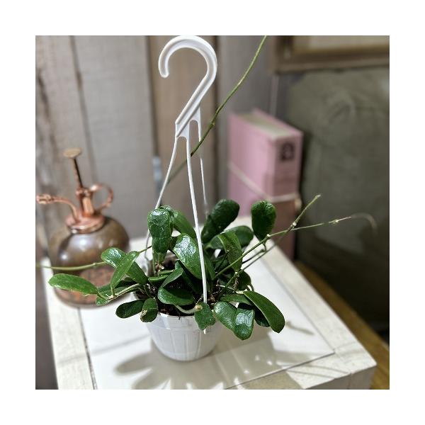 ※こちらの商品は多少の傷み等を含むアウトレット商品です。ご了承の上、購入をお願いします。セール価格 1600円→1280円 2025年Winterセール