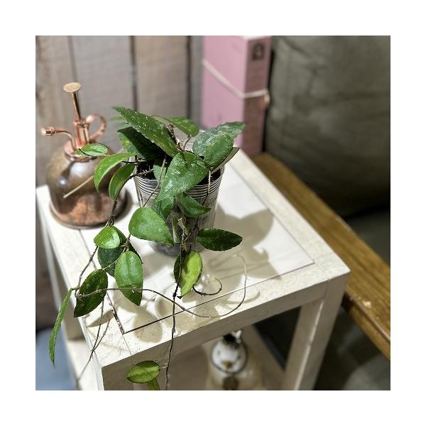 ※こちらの商品は多少の傷み等を含むアウトレット商品です。ご了承の上、購入をお願いします。セール価格 1880円→1280円 2025年Winterセール