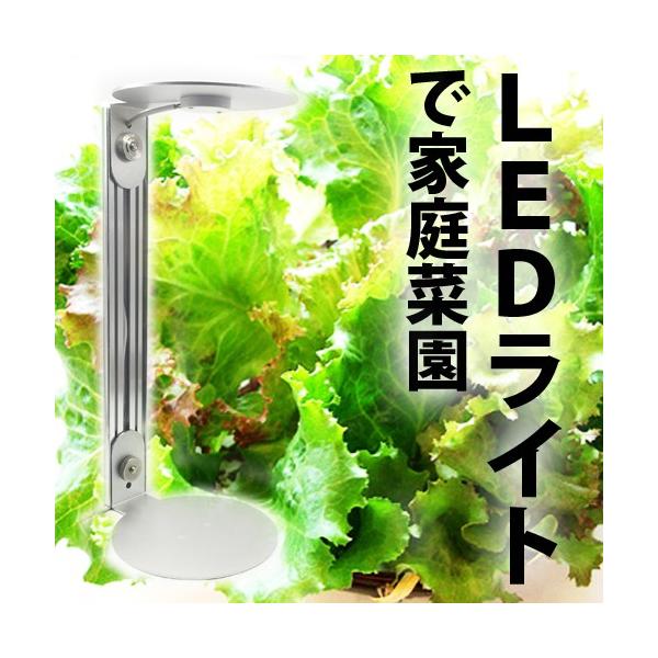 植物育成LEDスタンド「Guppy」LFT-01-B