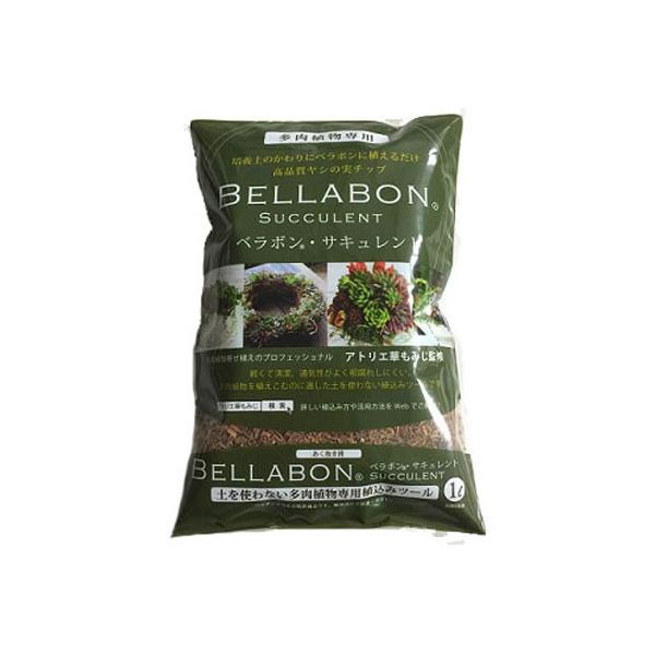 ヤシの実チップ 清潔 多肉植物 ベラボン サキュレント 1l フジック Leafs ヤフー店 通販 Yahoo ショッピング