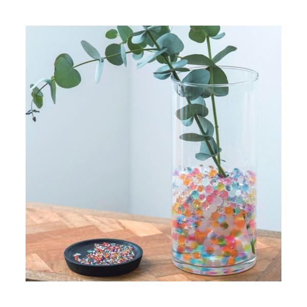 ■タグサボテン 観葉植物 切り花 清潔 カワイイ 可愛い オシャレ インテリア 推しカラー メンカラ 雑貨 花瓶 ポット 透明 ゼリー 植物 園芸 リビング 寝室 玄関 キッチン 台所 プレゼント ギフト 涼しい