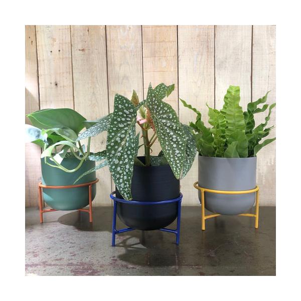 ■タグ園芸 ガーデニング 台所 可愛い カワイイ FARM 花 緑 黒 グレー 黄色 イエロー フォルム 丸み 寝室 コロン ギフト プレゼント お誕生日 母の日 父の日 敬老の日 お中元 お歳暮 贈り物 記念