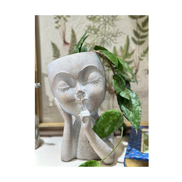 ■タグオシャレ 多肉植物 サボテン 園芸 ガーデニング インドアグリーン インテリアグリーン インテリアプランツ インドアグリーン キッチン リビング 玄関 寝室 トイレ 子供部屋 インテリア 置物 ギフト プレゼント 母の日 父の日 敬老...