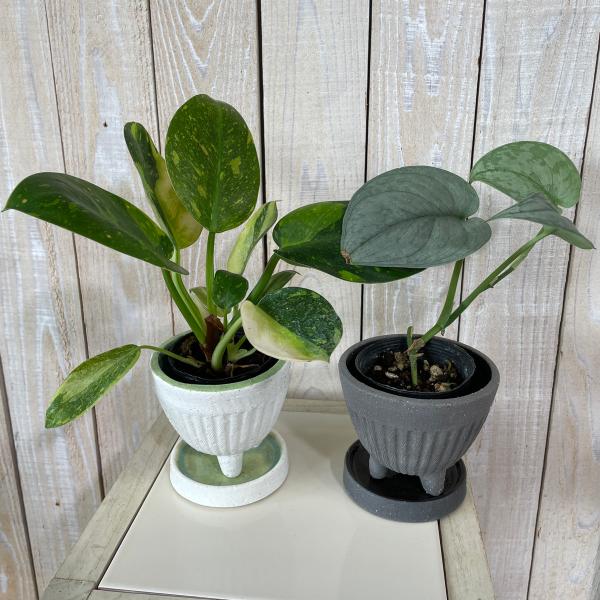友膳 TEX506 エメールスタンドSW(受皿付) 植木鉢 鉢 セラミック鉢