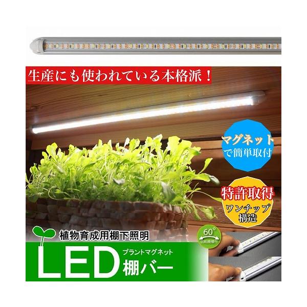 棚下　植物育成ライト LED プラントマグネット棚バー【3本点灯セット】　観葉植物 多肉植物 サボテン 野菜 室内 インテリア 磁石 貼り付け
