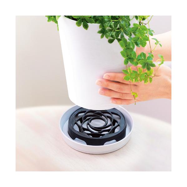 ■タグ成 育苗 塊根 観葉 多肉 植物 ガーデニング 園芸 インドアプランツ インテリアプランツ ガーデン 軽量 軽い 可愛い お洒落 シンプル 水はけ 根腐れ防止 ブラック 黒 インドアグリーン 便利 手軽