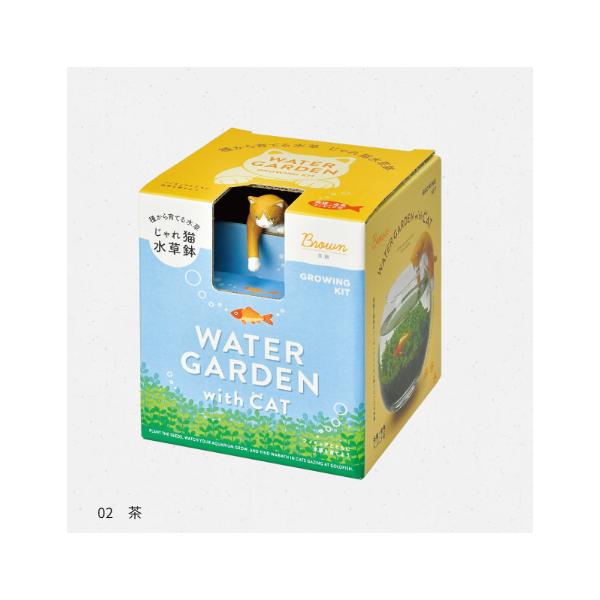 聖新 GD-105601 じゃれ猫水草鉢 白 茶ハチワレ 【水草栽培キット】【水草】【栽培キット】