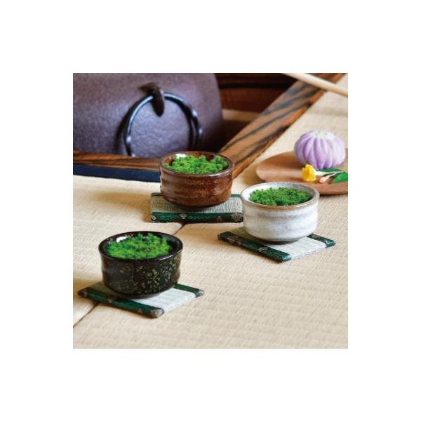 聖新 GD-106301 抹茶碗苔盆栽 苔 抹茶碗 ミニ畳 癒し グリーンインテリア