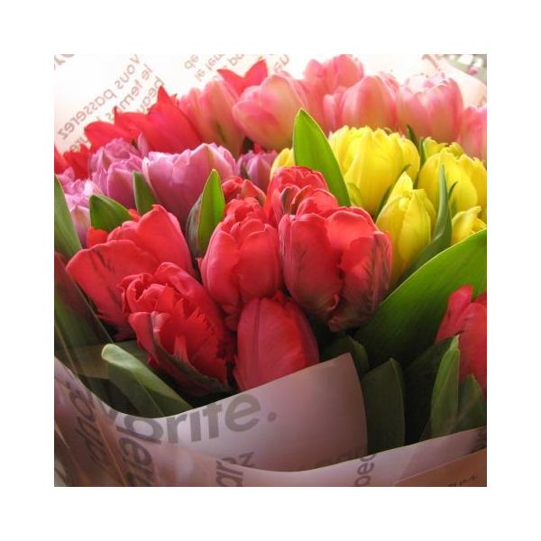生花 チューリップ 花束の人気商品 通販 価格比較 価格 Com