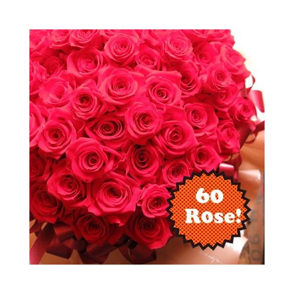 vU[uht[ җj v[g  ԃo 60{gp NA[P[Xt  Ήił