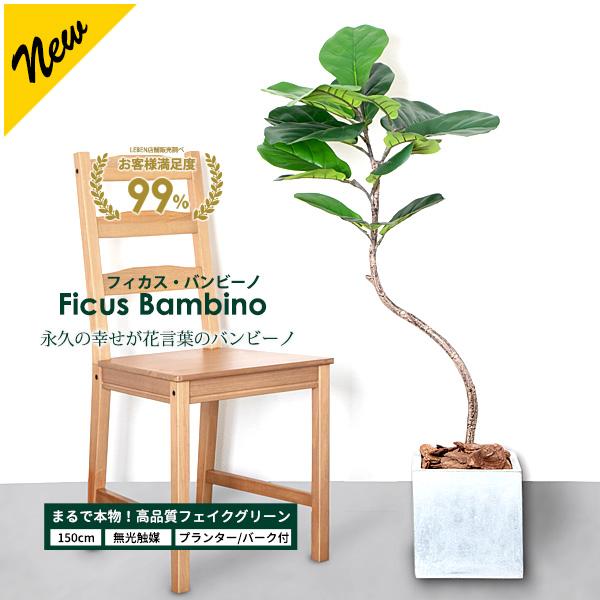 大型観葉植物♡フィカスバンビーノ（柏葉ゴム）150ｃｍ鉢カバー付き リーベン フィカス バンビーノ 150cm フェイクグリーン 大型 観葉植物