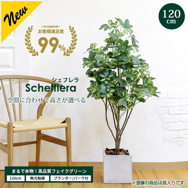 リーベン シェフレラ 120cm フェイクグリーン 無光触媒加工済 フェイク