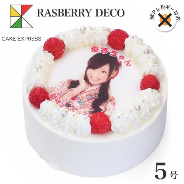 プリント バースデーケーキ 誕生日ケーキ 4〜6名様用 卵アレルギー サプライズ 冷凍■様々な用途でご利用いただいております成人の日 成人式 節分 バレンタインデー ひな祭り ホワイトデー お花見 こどもの日 母の日 父の日 七夕 お中元 ...