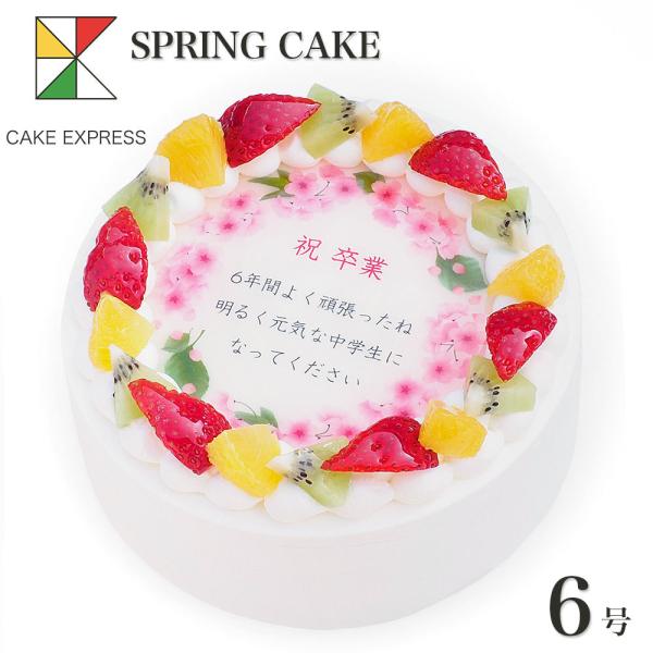 t̂jP[L bZ[Wt[cO퐶N[ 6 o[Xf[P[L aP[L