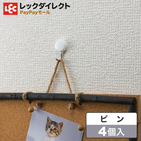 tbN s ΂{[h stbN ~jTCY   bN