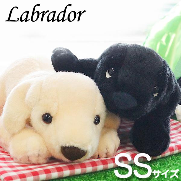 人形の吉徳 ヨシトク ラブラドールレトリバーぬいぐるみ Ss全長約25cm前後 犬グッズ 犬雑貨 ラブ おもちゃ プレゼントにおすすめ Buyee 日本代购平台 产品购物网站大全 Buyee一站式代购 Bot Online
