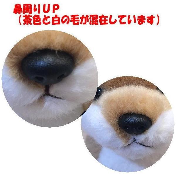 犬 ぬいぐるみ 柴犬 お座り スターチャイルド 約18cm 柴犬のぬいぐるみ 犬 日本製 犬グッズ 動物 犬のぬいぐるみ 日本製 手触りふわふわ Buyee Buyee Japanese Proxy Service Buy From Japan Bot Online