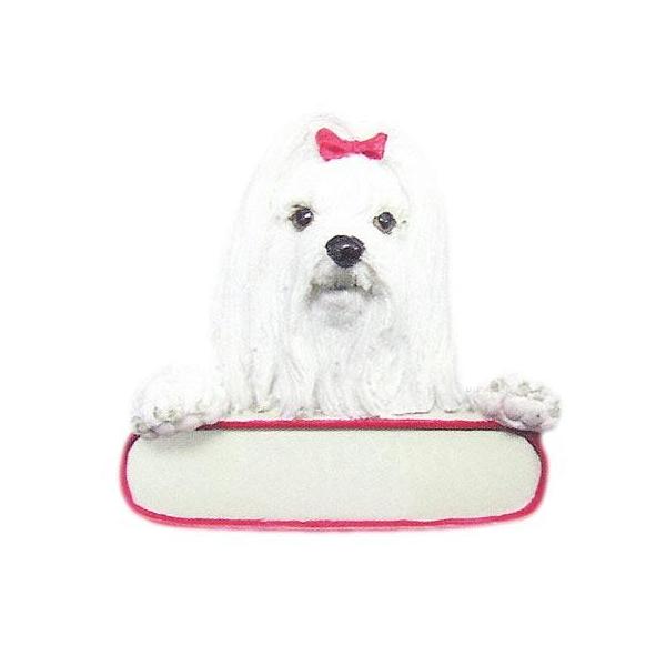 l[v[gEI[ig }`[Y(from USA)iObY G CeA Ŕ փObY ZLeB[ObY) Ǝ v Aj}  ObY