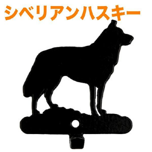 ACAVOtbN sVxAnXL[t[h  Aj}  ObY