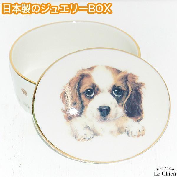 わんコレ ミニbox ジュエリーbox キャバリア アクセサリーケース 犬グッズ 小物入れ 犬 グッズ プレゼント 1 バルーンとアニマル雑貨ルシアン 通販 Yahoo ショッピング