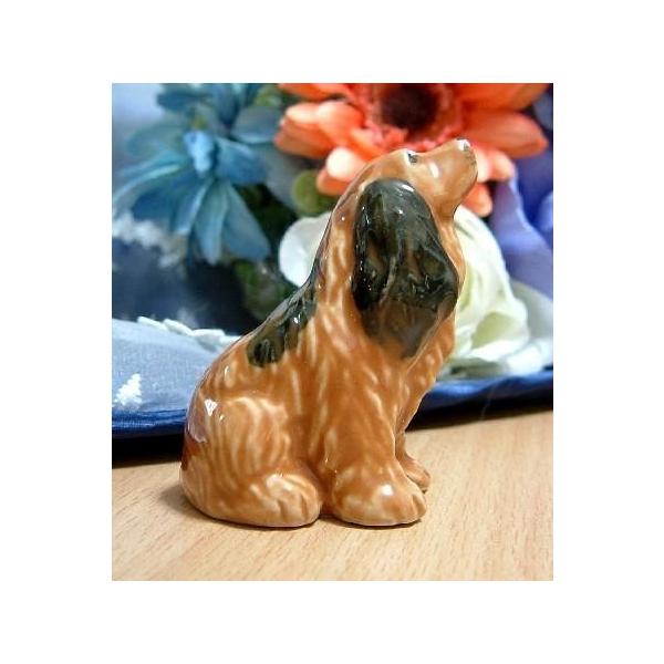 tXsKLIMAЁtA퐻tBMARbJ[EXpjG uE E204-a(ObY G Aj}  IuWF ̒u t Aj}  ObY