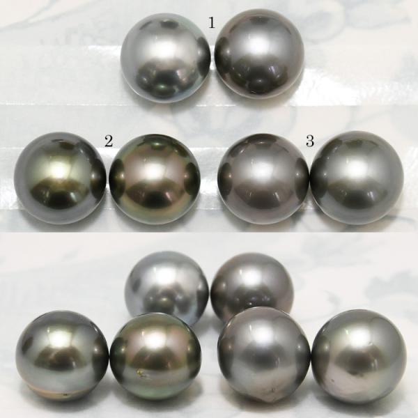 特大 14mm 黒蝶真珠 ピアス/イヤリング 存在感放つ圧倒的ボリューム  