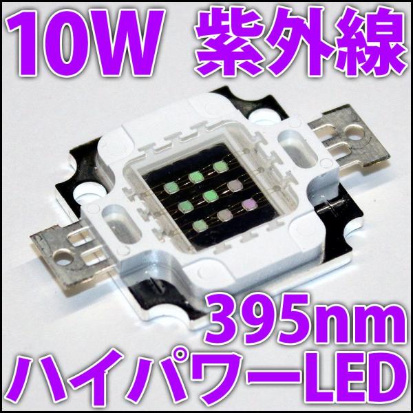 紫いるか ガラス細工｜海｜波のりイルカM｜フォーカートグラスワークス