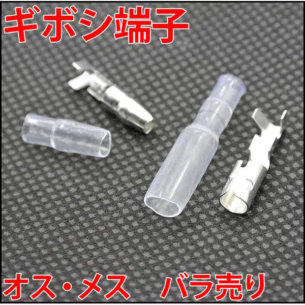 ledg_giboshi-barrett-plug-